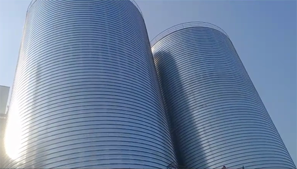 道真2座混凝土高架卷板仓